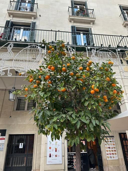 Sol De Mar, La Mata Apartment Exterior photo